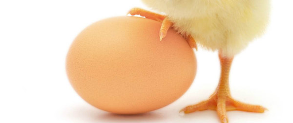 Análisis de Peligros y Puntos Críticos de Control